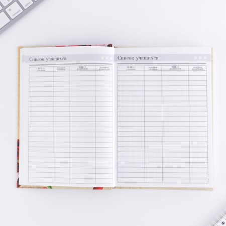 The teacher's diary “Teacher: the best teacher”, A5 format, solid cover cardboard 7BC, 160 sheets-8