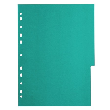 A set of A4 Office-2000 sheets, 5 sheets without indexation, color, plastic 120 μm-5