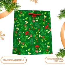 Gift Package 