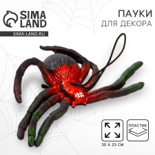 Spider joke