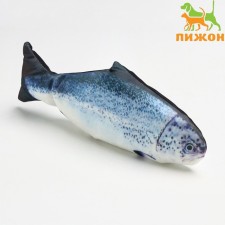 A toy for Cat 