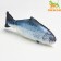 A toy for Cat "trout" with a moving tail and with USB-booting, 28 cm
