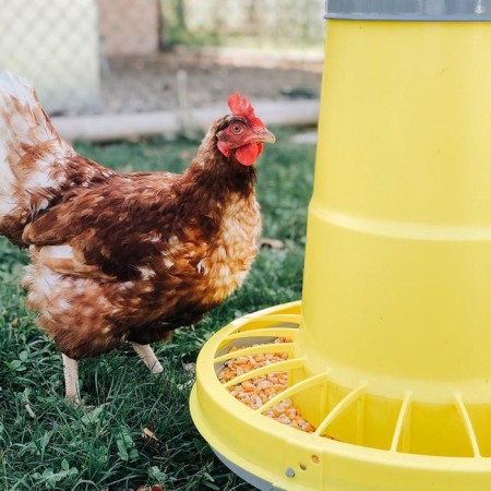 Bunker feeder for poultry 8.5 kg, on legs, plastic, compacta-5