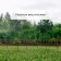 Decorative fence, 25 × 180 cm, 5 sections, plastic, terracotta, "classics"