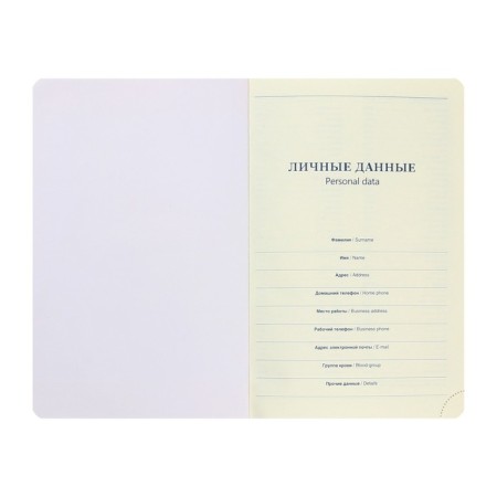 Deliciper of Leduced A5, 136 sheets in the ruler, leatherette "Nebraska", gold cut, red-3