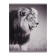 A4 notebook, 48 sheets in the cage "King of the Beasts", cover cardboard chromerzats, block No. 2 (gray sheets)
