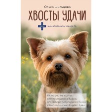 Tails of good luck. Shiltsova O.S.