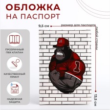 Passport cover, gray color