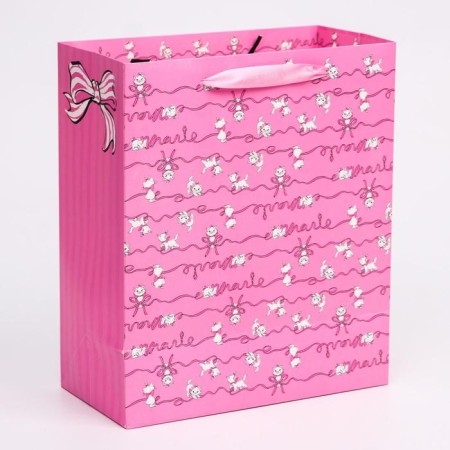 Laminated vertical package, 23 x 27 x 11.5 cm "marie", cats aristocrats-1