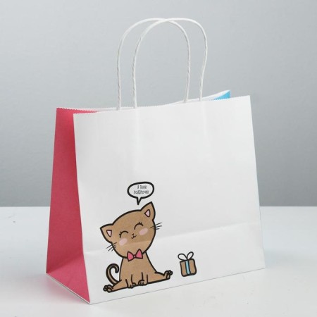 Gift Crafts, Packaging, Kitty, 25 x 22 x 12 cm-1