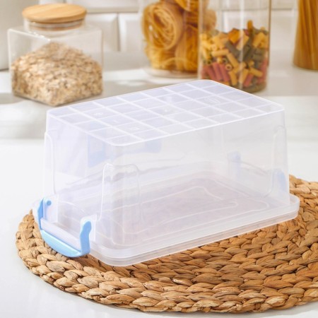 Food container Ricco, 3 l, 28 × 16 × 12 cm, rectangular, the color is transparent, blue-3