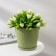 Pot for flowers with a paradon "Rotan", 1.2 l, olive color