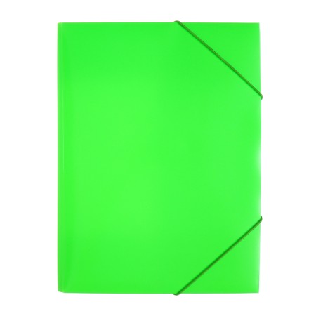 A4, 500 μm elastic band, calligrata "neon", spine 30 mm, neon, salad-4