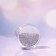 Cosmetic glitter in the jar "Silver", 10 g