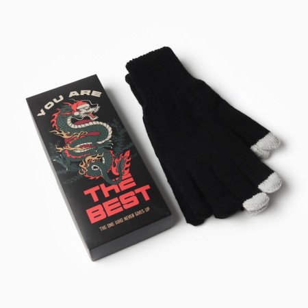 Male gloves in the gift box "The Best" R.22