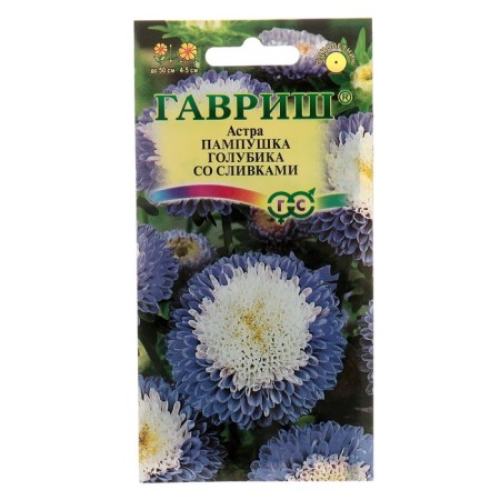 Flowers of Astra Pampushka blueberries with cream, pomponal, o, 0.3 g