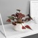 Bonsai in the pot "Filodendron Ultra" (soft sheet) 9x6 cm, mix