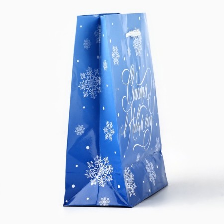 Package New Year's laminated “Happiness in the New Year”, S 12 x 15 x 5.5 cm-2