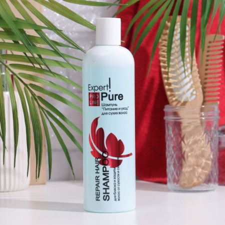 Expert shampoo Power and care for dry hair, 400 ml
