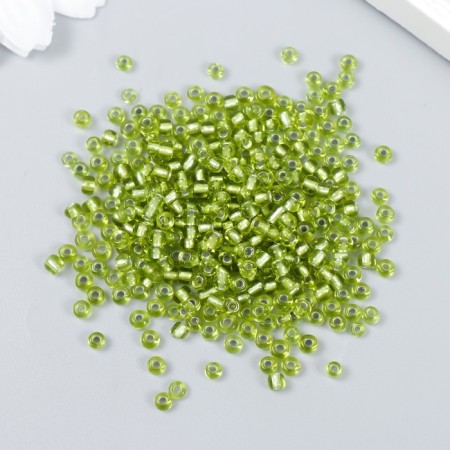 Beads "Zlatka" 08/0, 3 mm, 10 g 0024 Salad-1