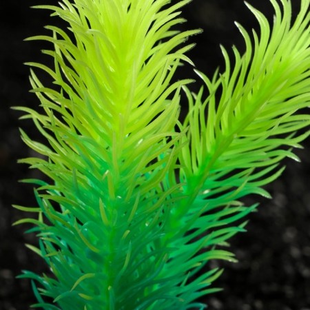 The artificial aquarium, luminous, 8 cm, green plant-1