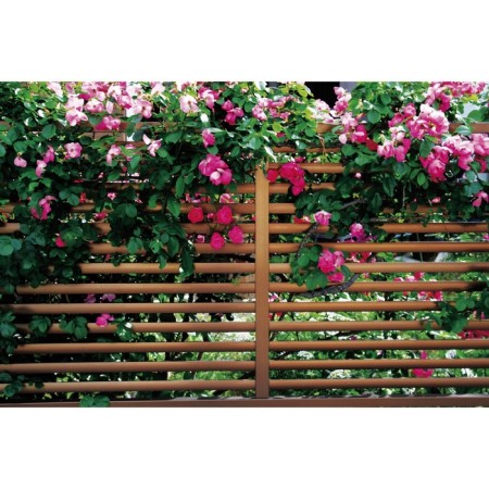 Photo Banner, 250 × 200 cm, with photo printing, eyelets step 1 m, "strip", Greengo