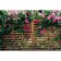 Photo Banner, 250 × 200 cm, with photo printing, eyelets step 1 m, "strip", Greengo