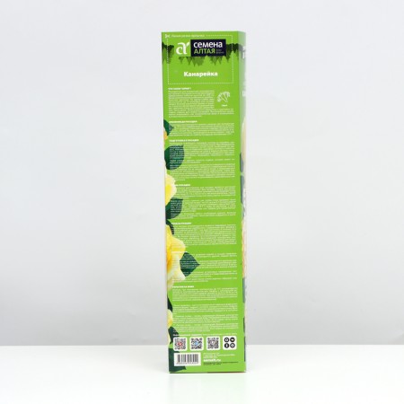 Channel Rosa seedling, 1 pc, spring 2024-1