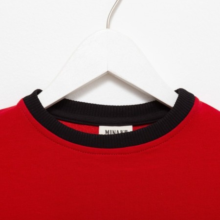 Jumper for the boy Minaku: Casual Collection Kids red color, height 152-6
