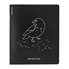 Subject notebook, 48 sheets, ruler, literature Erichkrause 