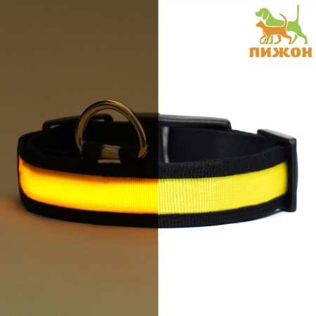 Collar with flash lighting 3 lumineshes, size XL, Osh 52-60 x 2.5 cm yellow