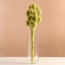 Set of dried flowers 