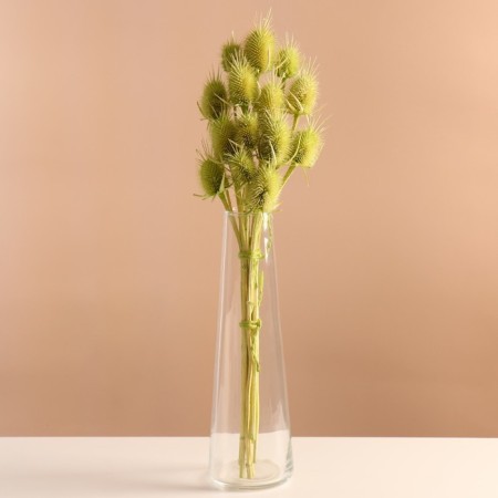 Set of dried flowers "Brush", banch 7-8 pcs, length 50 (+/- 6 cm), green apple