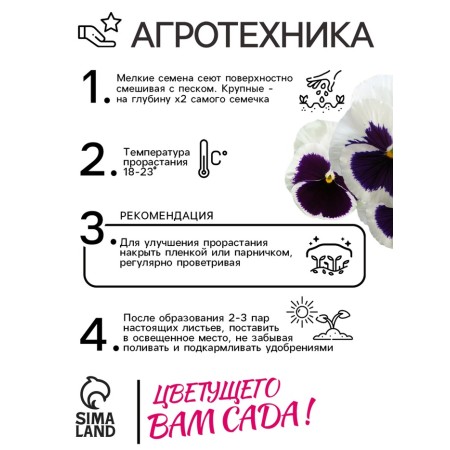 Viola seeds "Matrix", F1, white-3