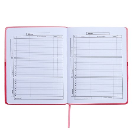 Universal Grade 1-11 Diary, 48 pink sheets, firm artificial leather cover, pancake embossing, liesse-8