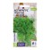 SPPRAGUS Seeds "Sprengger", 5 pcs