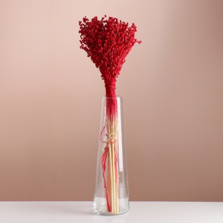 A set of dried flowers "sorgho", banch 3-5 pcs, length 60 (+/- 6 cm), red