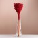 A set of dried flowers "sorgho", banch 3-5 pcs, length 60 (+/- 6 cm), red