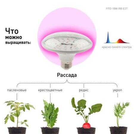 Phytolamp for plants LED era Fito-18W-Rb-E27 red-blue spectrum 18 W E27-7