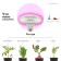 Phytolamp for plants LED era Fito-18W-Rb-E27 red-blue spectrum 18 W E27