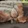 Earrings Amulet "heart knot", brass