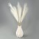 Pampas artificial grass, height 70 cm, 6 brushes, milk color