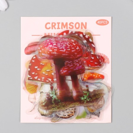 Stickers for creativity PLC PVC "Mushroom Stories" set 40 pcs 9x10.5 cm-4