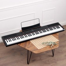 Electronic piano Denn Pro PW01, 8 timbres, polyphony 48 notes, 88 keys