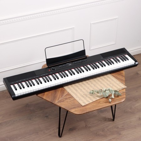 Electronic piano Denn Pro PW01, 8 timbres, polyphony 48 notes, 88 keys