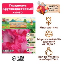 Гладиолус Крупноцветковый "Hugo", р-р 8/10, 7 шт ,