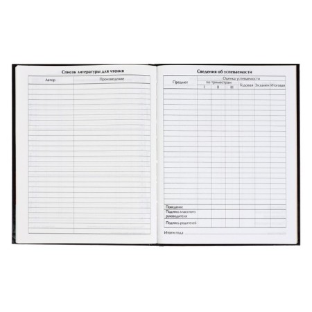 Diary for grades 5-11, Panther, solid cover 7BC, glossy lamination, 48 sheets-6