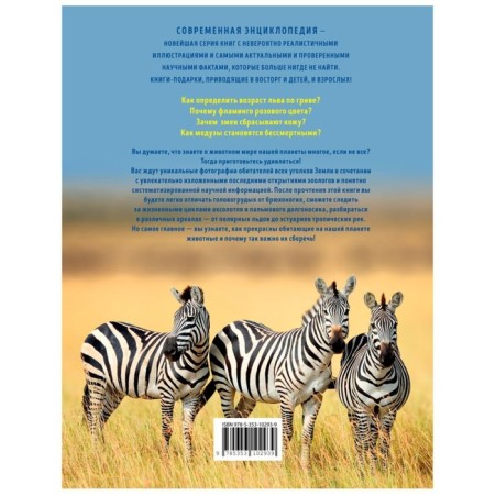 Animals. Martin K.-8