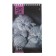 Notepad A5, 40 sheets on the crest "cats", mix