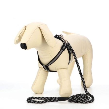 Set "braid", fluorescent, leash 115 x 1 cm, og 32-48 x 1.5 cm, black-1
